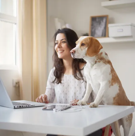 chien-femme-bureau