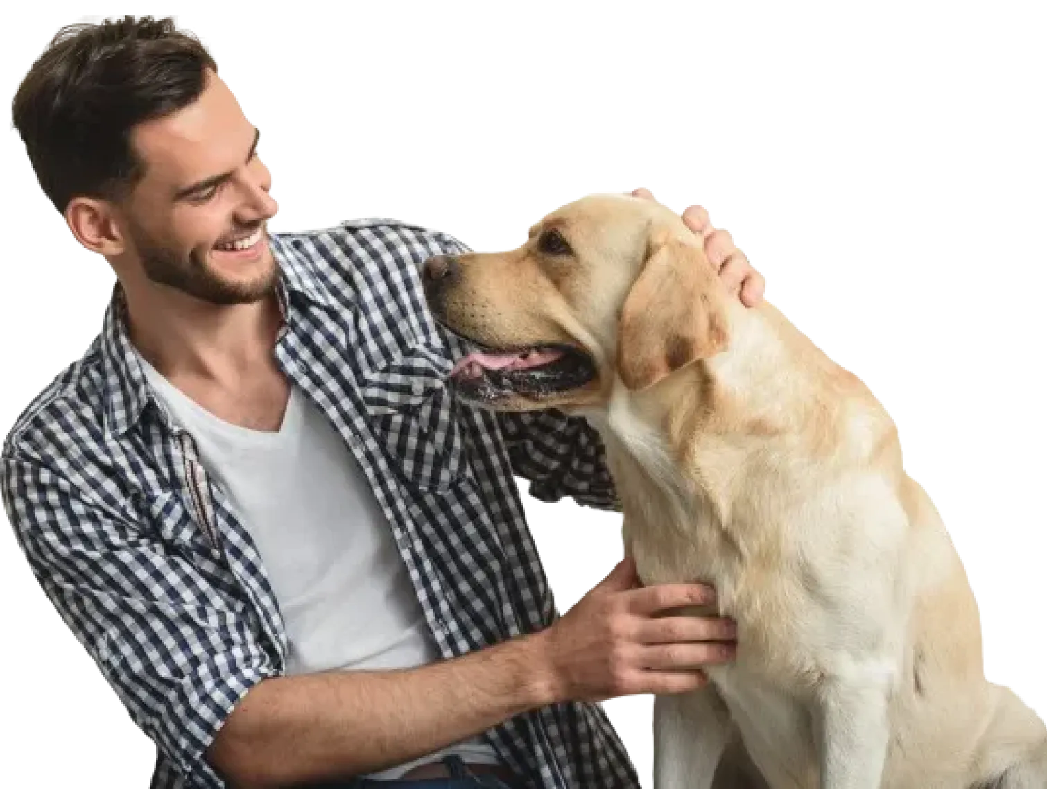 educ-homme-labrador